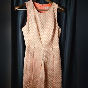 Eliza J Womens Knee Length Dress Size S